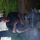 ildar, 53 (5 , 0 )