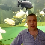 , 58 (1 , 0 )