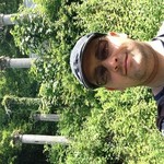 , 38 (1 , 0 )